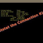 Tracking Communications with Netstat & TCPView