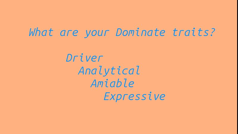 Personality Matrix